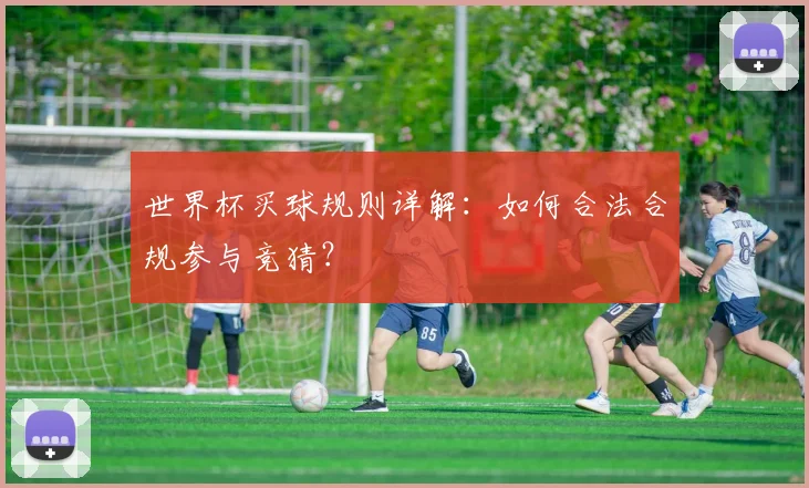 世界杯买球规则详解：如何合法合规参与竞猜？