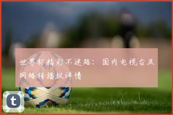 世界杯精彩不迷路:国内电视台及网络转播权详情