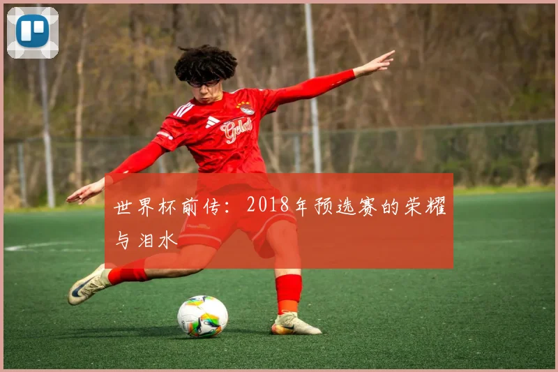 世界杯前传:2018年预选赛的荣耀与泪水