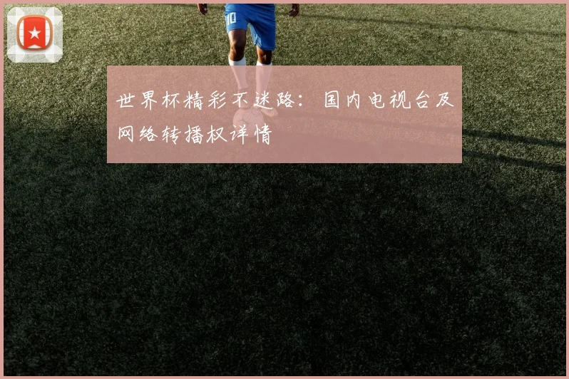 世界杯精彩不迷路:国内电视台及网络转播权详情