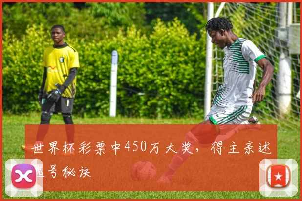 世界杯彩票中450万大奖，得主亲述选号秘诀