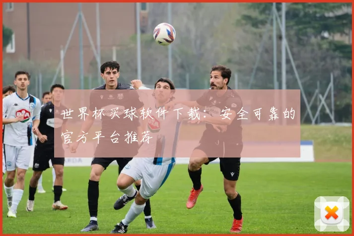 世界杯买球软件下载：安全可靠的官方平台推荐