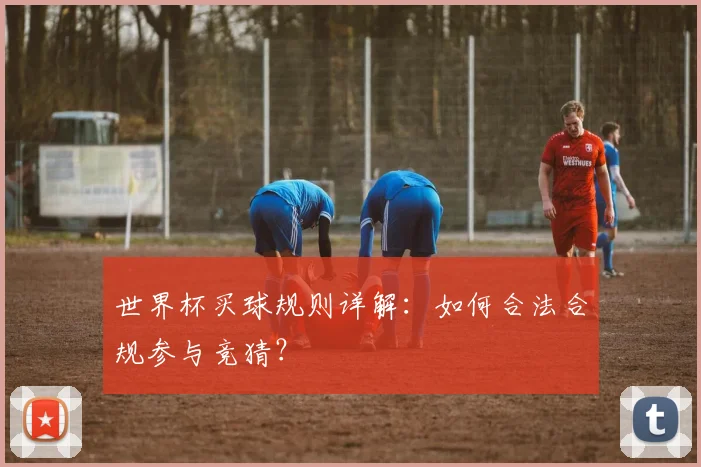 世界杯买球规则详解：如何合法合规参与竞猜？