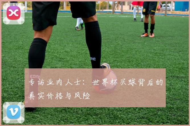 专访业内人士：世界杯买球背后的真实价格与风险
