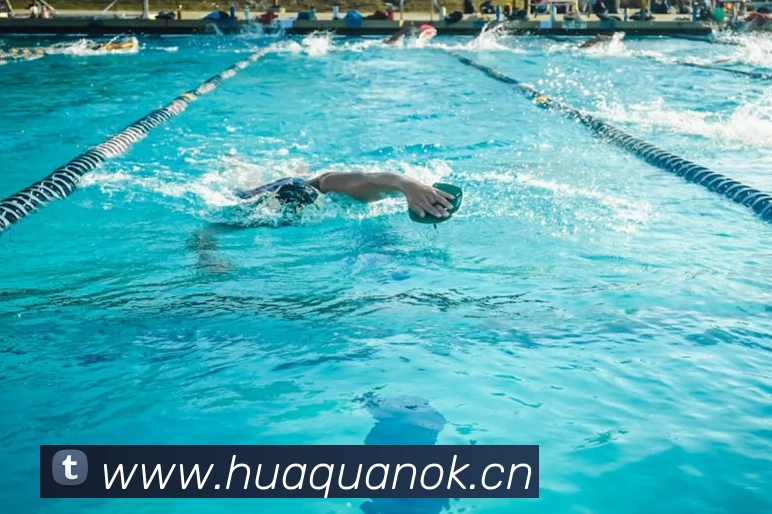 多媒体互动体验